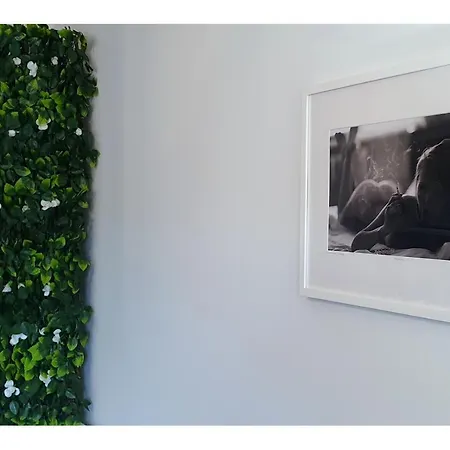 Cosy - Hypercentre - Calme - Wifi - Tv Appartement *