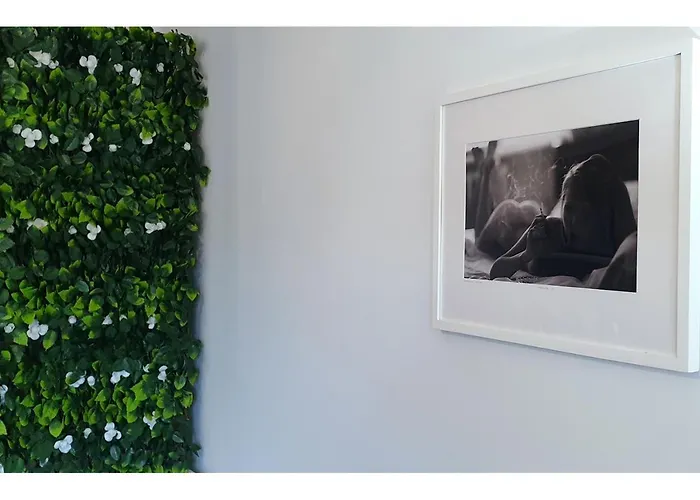 Cosy - Hypercentre - Calme - Wifi - Tv דירה *